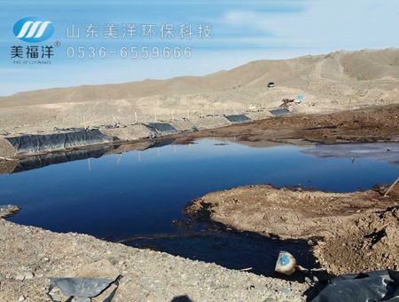 點擊查看詳細信息<br>標題：Onsite photo of the landed oil sludge 閱讀次數：1397