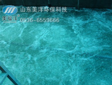 點擊查看詳細信息<br>標題：曝氣 閱讀次數：2383